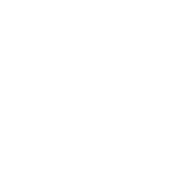 Practical support